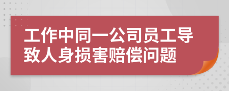 工作中同一公司员工导致人身损害赔偿问题