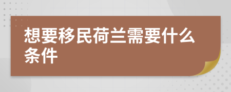 想要移民荷兰需要什么条件