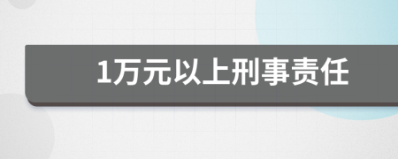 1万元以上刑事责任