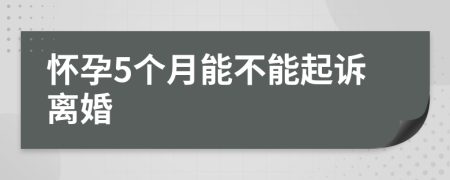 怀孕5个月能不能起诉离婚