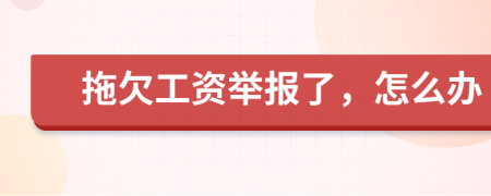 拖欠工资举报了，怎么办