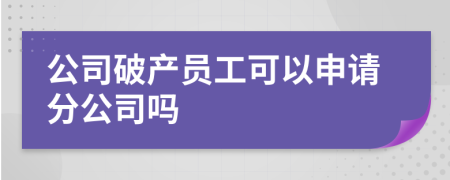 公司破产员工可以申请分公司吗