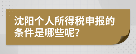 沈阳个人所得税申报的条件是哪些呢？