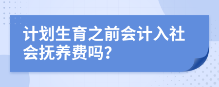 计划生育之前会计入社会抚养费吗？