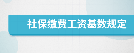 社保缴费工资基数规定