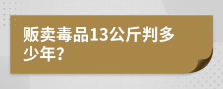 贩卖毒品13公斤判多少年？