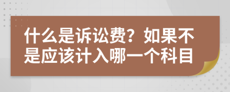 什么是诉讼费？如果不是应该计入哪一个科目