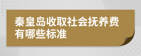 秦皇岛收取社会抚养费有哪些标准