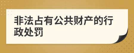 非法占有公共财产的行政处罚