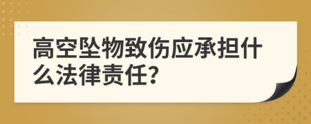 高空坠物致伤应承担什么法律责任？