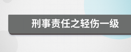 刑事责任之轻伤一级