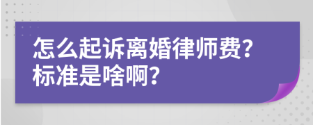 怎么起诉离婚律师费？标准是啥啊？