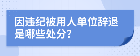 因违纪被用人单位辞退是哪些处分？