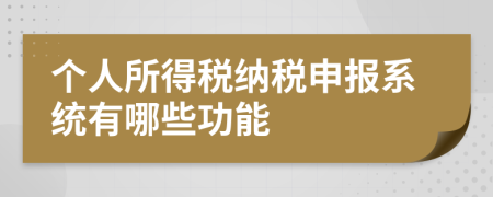 个人所得税纳税申报系统有哪些功能