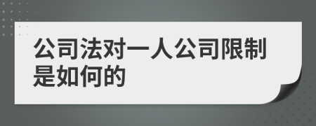 公司法对一人公司限制是如何的