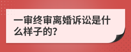 一审终审离婚诉讼是什么样子的？