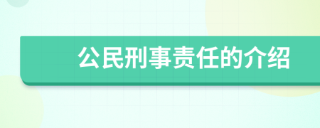 公民刑事责任的介绍