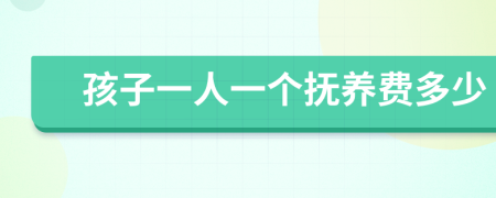 孩子一人一个抚养费多少