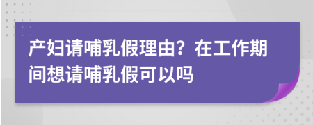 产妇请哺乳假理由？在工作期间想请哺乳假可以吗