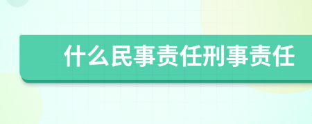 什么民事责任刑事责任