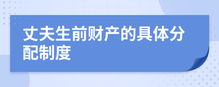 丈夫生前财产的具体分配制度