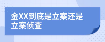 金XX到底是立案还是立案侦查