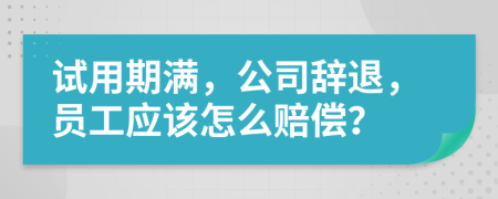 试用期满，公司辞退，员工应该怎么赔偿？