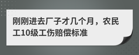 刚刚进去厂子才几个月，农民工10级工伤赔偿标准