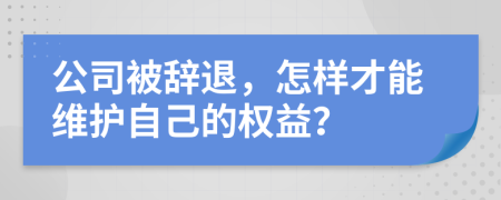 公司被辞退，怎样才能维护自己的权益？