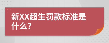 新XX超生罚款标准是什么？