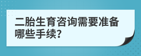 二胎生育咨询需要准备哪些手续？