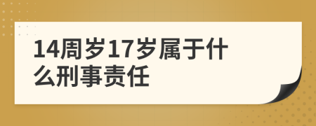 14周岁17岁属于什么刑事责任