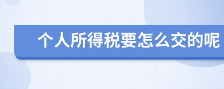 个人所得税要怎么交的呢