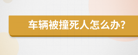 车辆被撞死人怎么办？