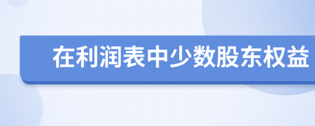 在利润表中少数股东权益