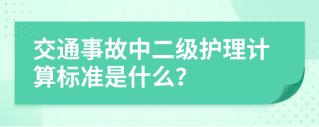 交通事故中二级护理计算标准是什么？