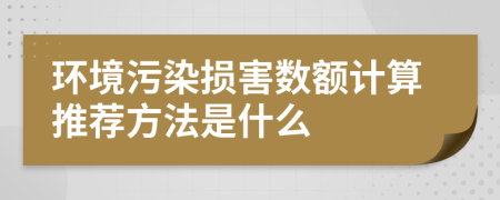 环境污染损害数额计算推荐方法是什么