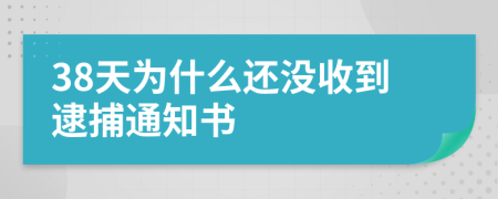 38天为什么还没收到逮捕通知书