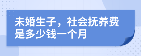 未婚生子，社会抚养费是多少钱一个月