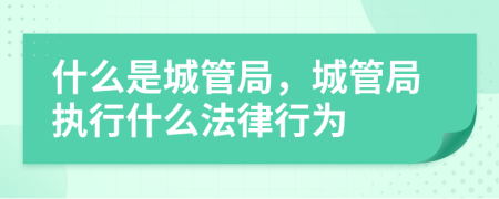 什么是城管局，城管局执行什么法律行为