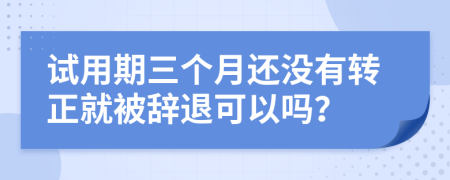 试用期三个月还没有转正就被辞退可以吗？