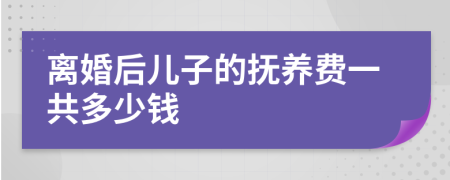 离婚后儿子的抚养费一共多少钱