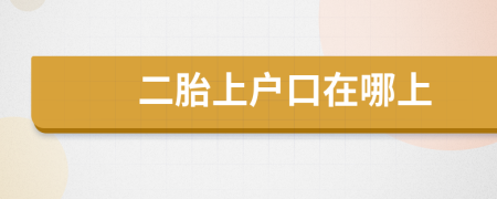 二胎上户口在哪上