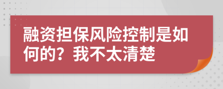 融资担保风险控制是如何的？我不太清楚