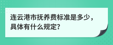 连云港市抚养费标准是多少，具体有什么规定？