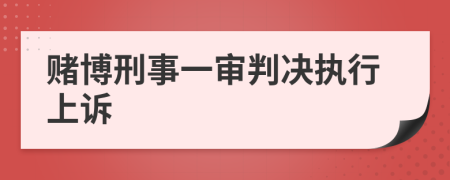 赌博刑事一审判决执行上诉