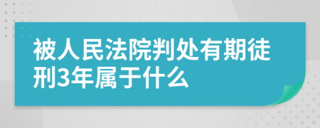 被人民法院判处有期徒刑3年属于什么