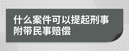 什么案件可以提起刑事附带民事赔偿