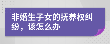 非婚生子女的抚养权纠纷，该怎么办