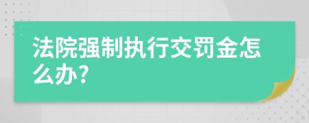 法院强制执行交罚金怎么办?